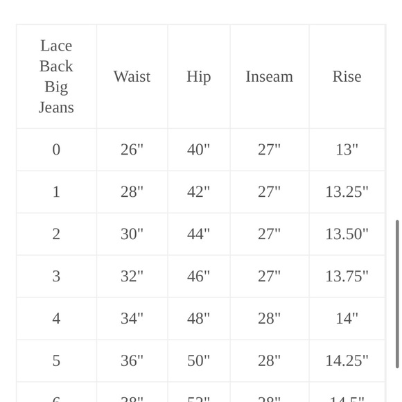 Rudy Jude Lace Back Big Jean - Pale Indigo - Picture 5 of 5